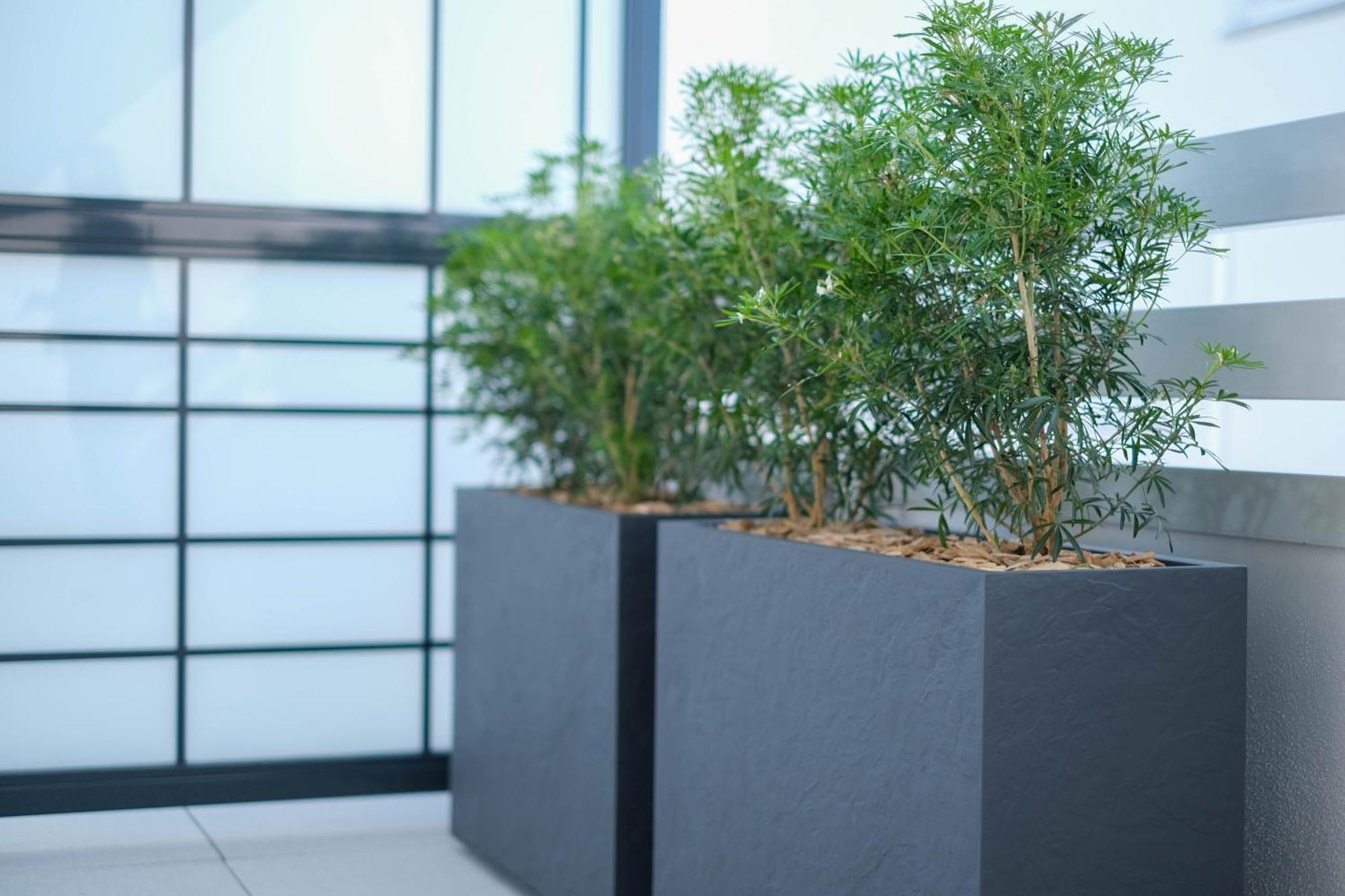 Eden Park - Appartement Terrasse 谢西 外观 照片